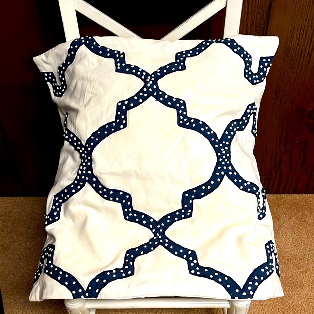 Pottery Barn Pillow Cover . Fits 24x24 insert.